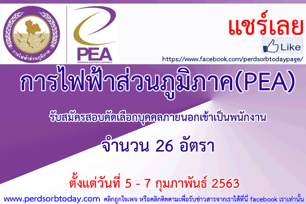 Դͺͷ ҧҹ 俿ǹҤ(PEA)